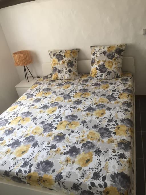 Logement Insolite Au Coeur D'Une Ecurie Arlés Exterior foto