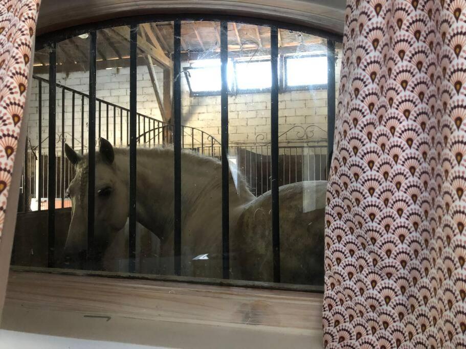Logement Insolite Au Coeur D'Une Ecurie Arlés Exterior foto